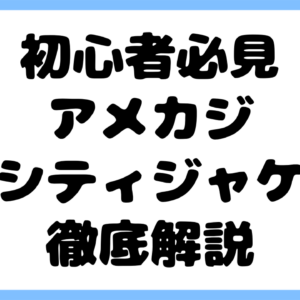 【初心者必見】アメカジバーシティジャケットの歴史・特徴・選び方・使い方を徹底解説